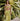 Sarong in Lime Check