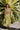 Sarong in Lime Check